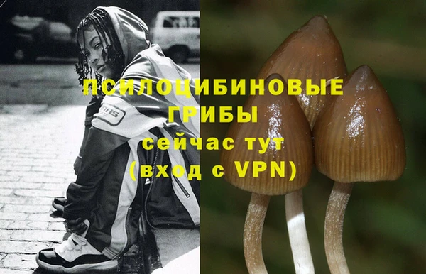 мдма Краснослободск