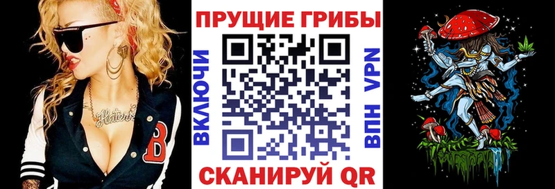 Купить где  Балабаново  Псилоцибиновые грибы Magic Shrooms 